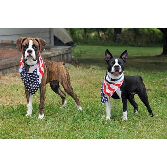 NEW 12 beautiful Large 22 inch Made in the USA Red-White-Blue Handkerchief Scarf - Picture 5 of 12